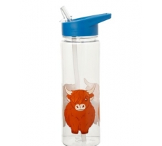 Highland Coo Cow Water Bottle 500ML