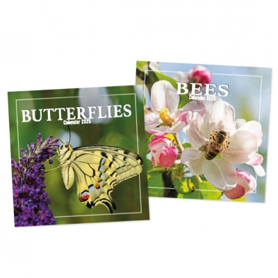 2026 Calendar Sq Bees and Butterflies