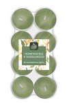 Colour Tea Light Sandlwood & Hneysuckle 16pack