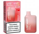 Lost Mary BM600 Prefilled Pod Kit Peach Ice X 10 Pack