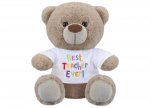 Best Teacher Bear 8"