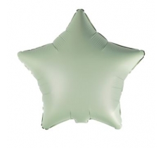 Amscan Silk Lustre Eucalyptus Star Standard Foil Balloons