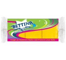 Bettina 6Pc Shaped Sponge Scourer