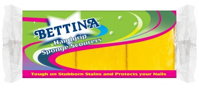 Bettina 6Pc Shaped Sponge Scourer