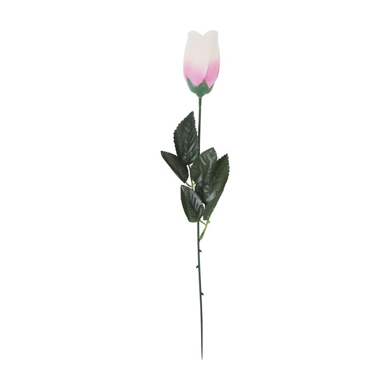 Pink Rose In Acetate - Click Image to Close