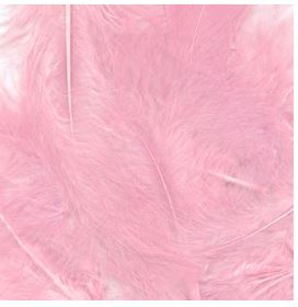 Eleganza Craft Fetahers Mixed Sizes 8G Bag Light Pink - Click Image to Close