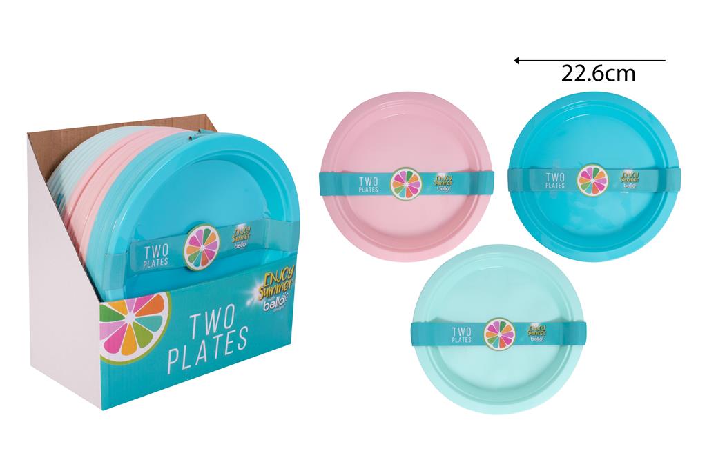 23cm Picnic Plates 2 Pack - Click Image to Close