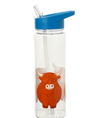 Highland Coo Cow Water Bottle 500ML