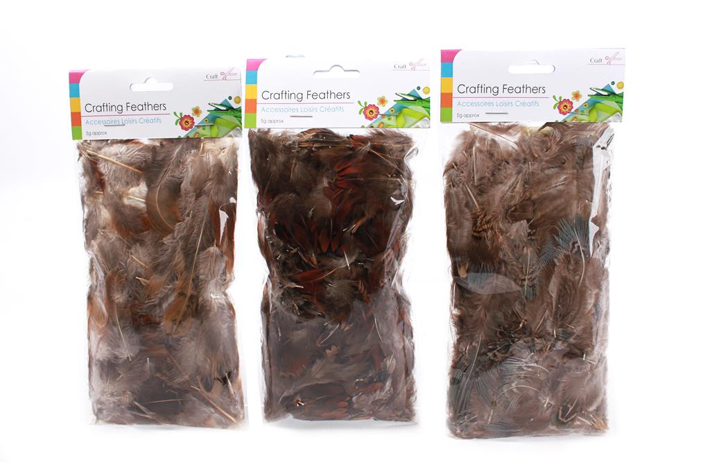 5G Natural Craft Feathers - Click Image to Close