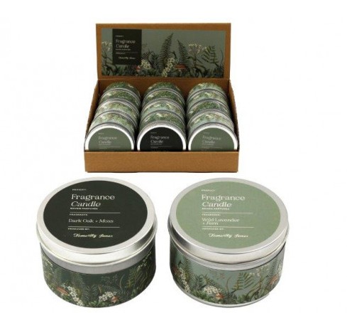 Mushroom Tin Candles - Click Image to Close