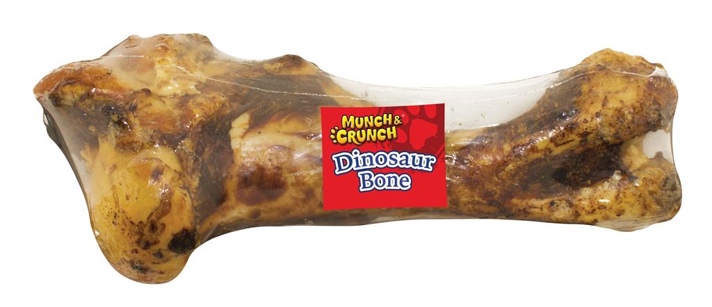 Dinosaur Bone - Click Image to Close