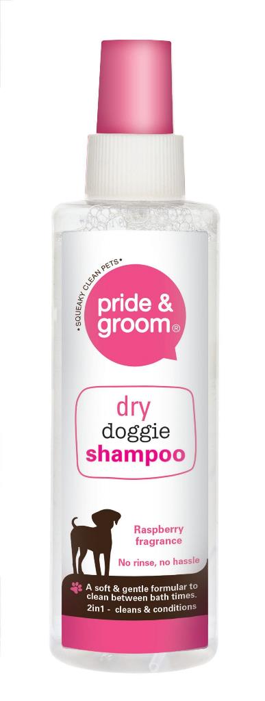 Dry Shampoo Spray 200ml - Click Image to Close