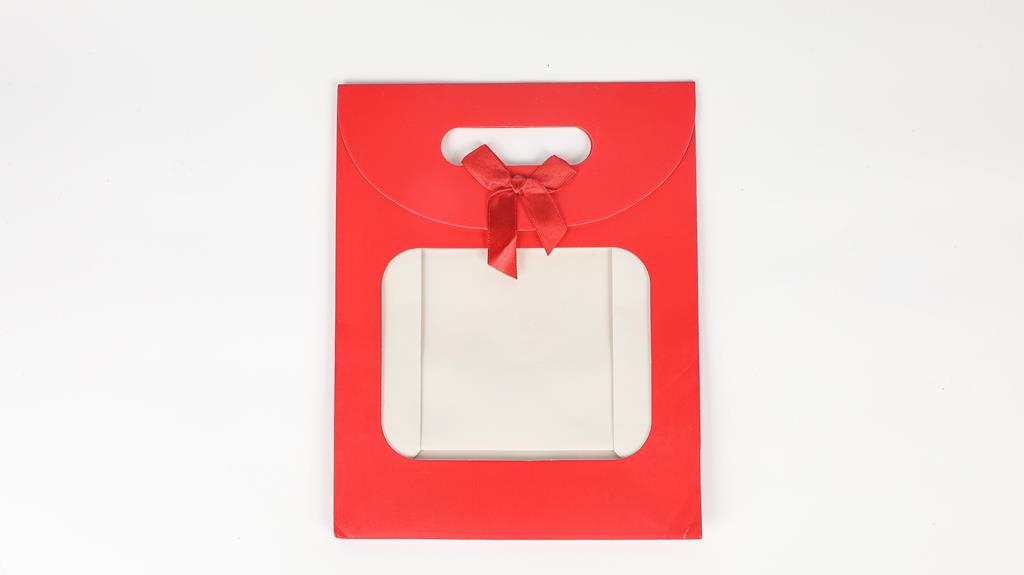Red Small Gift Bag 24 x 19 x 9cm - Click Image to Close