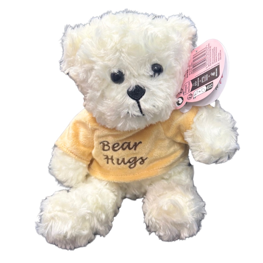 Plush 20cm Bear With Slogan " Bear Hugs " - Click Image to Close