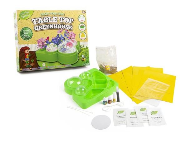 Grow & Decorate Your Own Table Top Greenhouse - Click Image to Close