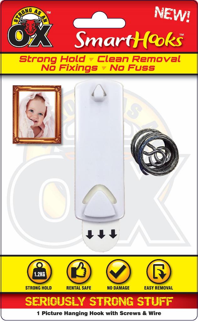 Seriously Strong Removable Picture Hook 1 Pack - Click Image to Close