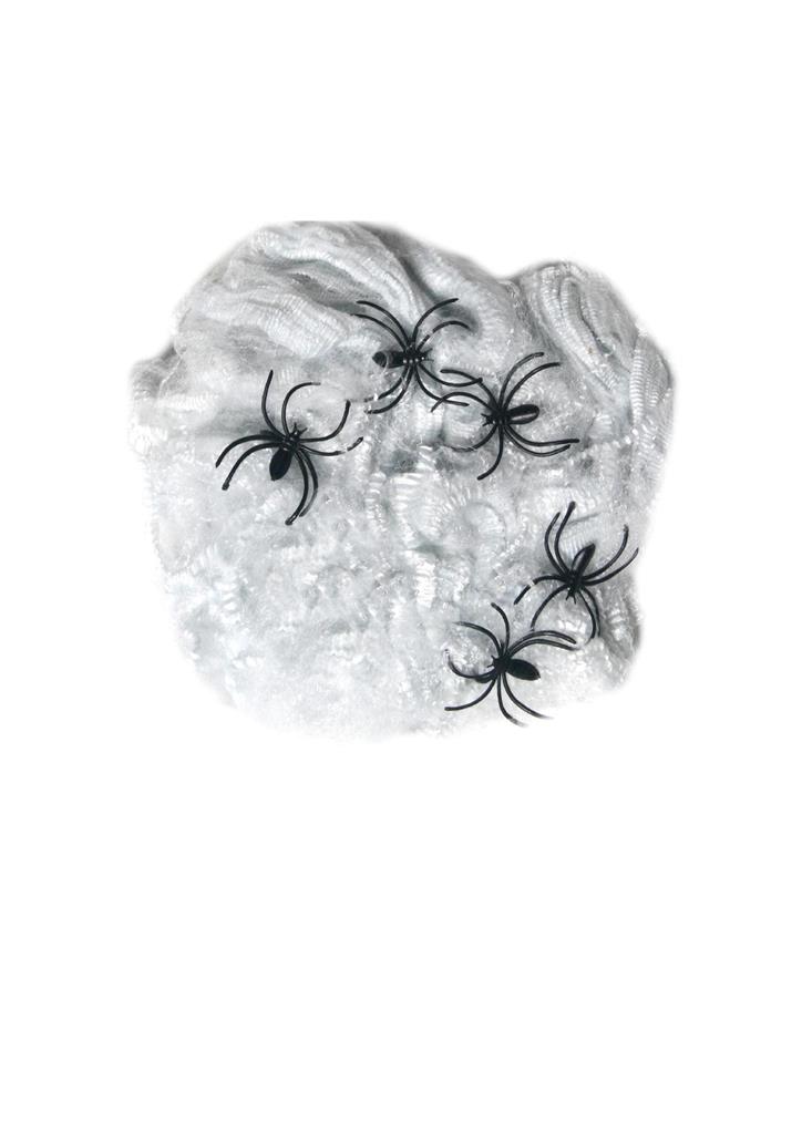 WHITE SPIDERS WEB (40G) WITH 5 PLASTIC SPIDERS - Click Image to Close