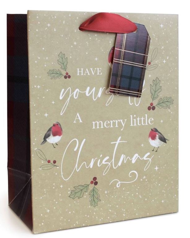 Gift Bag Christmas Kraft Text Large ( 26 x 32 x 12cm) - Click Image to Close