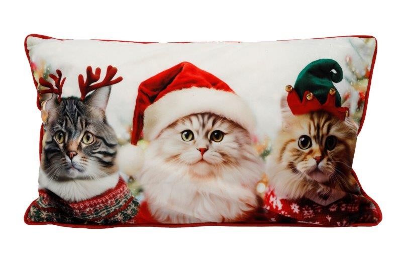 Christmas Cat In Hat Cushion 30x50cm - Click Image to Close