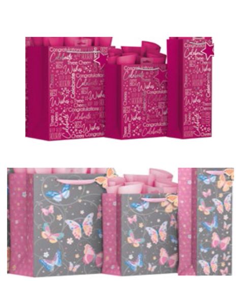 *** OFFER *** Mixed Bags Female Bundle x 6Pack (30p per Bag) - Click Image to Close